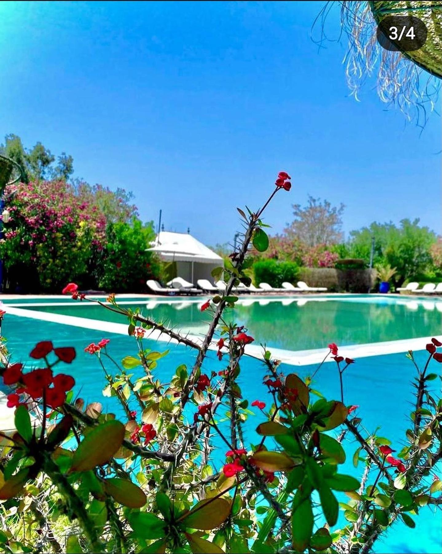 Les Jardins D Isis Hotel Marrákes Kültér fotó